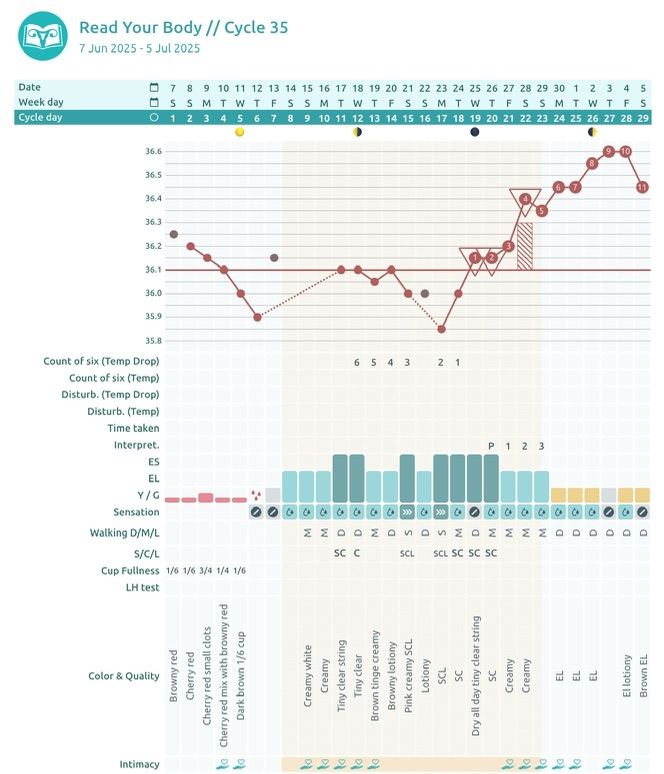 A real Read Your Body fertility chart