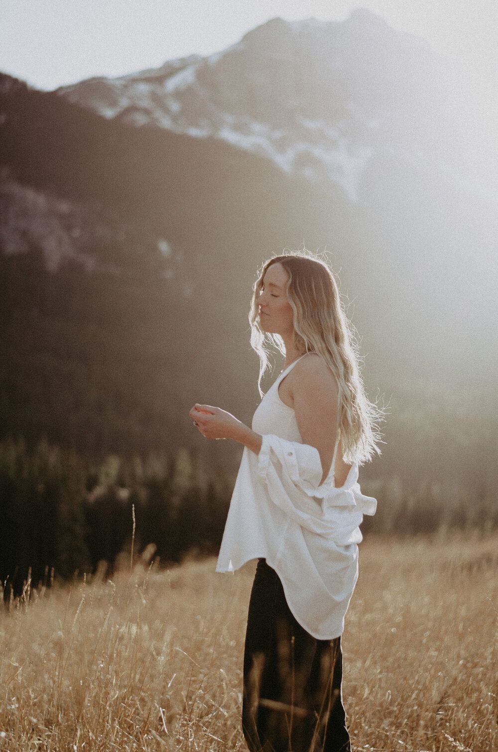 Hales in a mountain meadow